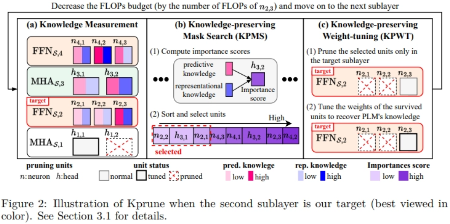 Accurate Retraining-free Pruning for Pre-trained Encoder-based Language Models